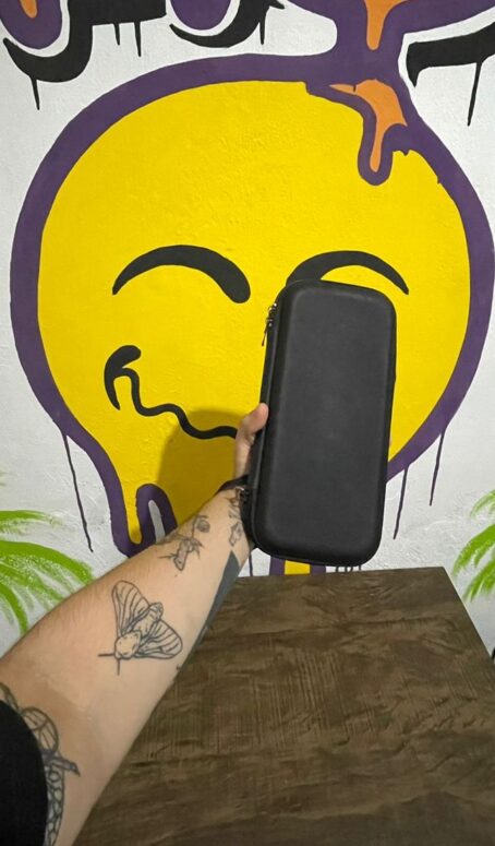 Case Grande Nintendo