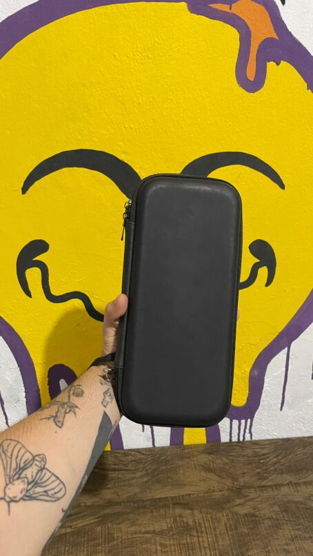 Case Grande Nintendo